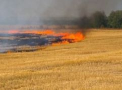 Окупанти знищили поле пшениці площею 20 га в Харківській області – ДСНС