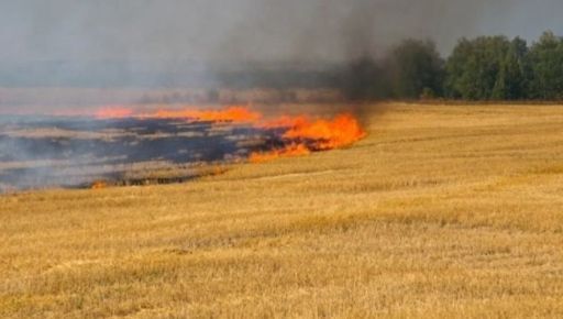 Оккупанты уничтожили поле пшеницы площадью 20 га в Харьковской области - ГСЧС