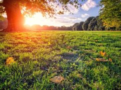 Березень на Харківщині: яким буде перший місяць весни