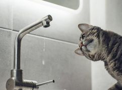 Часть Харькова останется без воды 2 июля: что известно