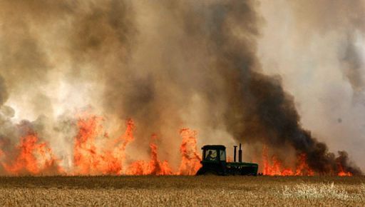 У Харківській області рятувальники ліквідували майже пів сотні пожеж в екосистемах
