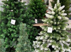 Сколько стоят искусственные елки на "Барабашово" в Харькове: актуальные цены