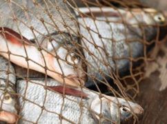 В Харьковской области схватили браконьера с уловом на 76 тыс. грн