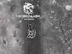"Волкодавы" показали, как уничтожают российскую пехоту под Волчанском