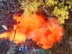 Пограничники показали, как уничтожают врага на Волчанском направлении: жаркие кадры