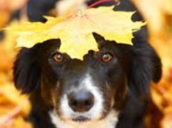 Синоптики рассказали, какая погода будет властвовать на Харьковщине 22 ноября