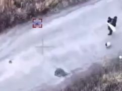 На Харьковщине россияне убили FPV-дронами собаку и двух гражданских под белым флагом
