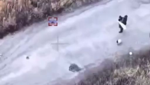 На Харківщині росіяни вбили FPV-дронами собаку та двох цивільних під білим прапором
