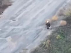 На Харківщині російський дрон атакував жінку на тому місці, де до цього окупанти вбили двох чоловіків