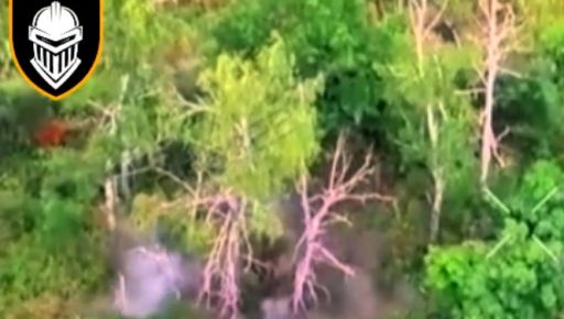 Оборонці показали, як ліквідували штурмову групу окупантів на Великобурлуцькому напрямку