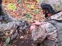Зворушлива історія з передової: спецпризначенці показали, як врятували птаха на Харківщині