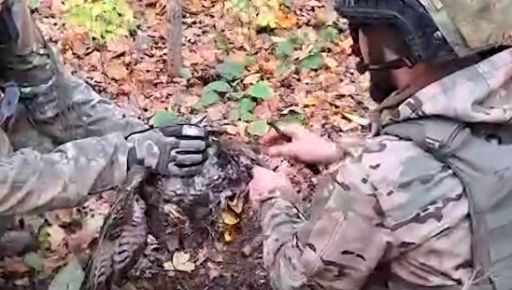 Трогательная история с передовой: спецназовцы показали, как спасли птицу на Харьковщине