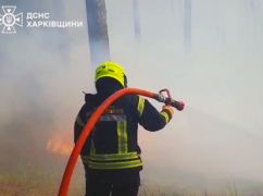 На Ізюмщині ліквідували дві масштабні лісові пожежі: Що відомо