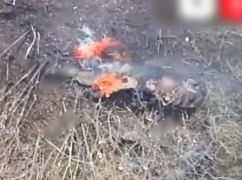 Оператори БпЛА успішно ліквідували окупанта на Вовчанському напрямку: кадри з місця