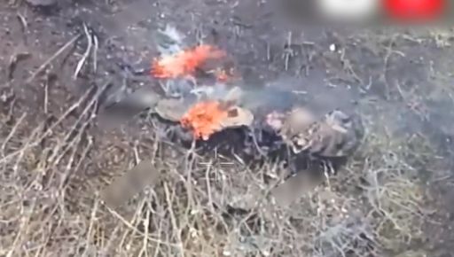 Оператори БпЛА успішно ліквідували окупанта на Вовчанському напрямку: кадри з місця
