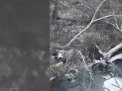 Харківські безпілотники ліквідували дев&rsquo;ять окупантів під час наступу: кадри з фронту