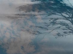 В Харьковскую область надвигается сильный ветер: где и когда ожидается непогода