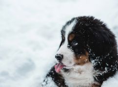 Какая будет погода в Харькове 13 января: прогноз синоптиков