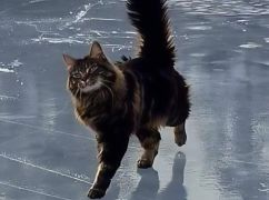 Харьковщину накроет туман и гололед: синоптики объявили желтый уровень опасности