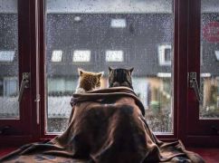 Стало відомо, якої погоди чекати в Харкові та області 12 листопада