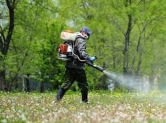 В Харькове начали возделывать парки от клещей: Где и когда проводят дезинсекцию