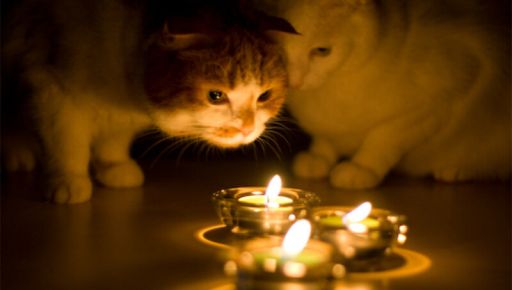 Отключение света: графики для Харькова и области на 9 февраля