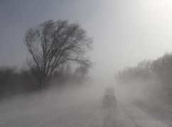 Желтый уровень опасности: в Харьковской области ожидаются порывы сильного ветра