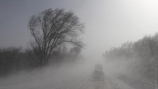 Жовтий рівень небезпеки: на Харківщині очікуються пориви сильного вітру
