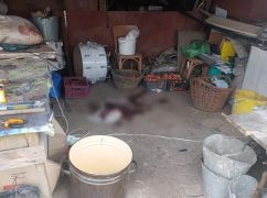 На Харківщині чоловік підірвався на снаряді часів Другої світової війни