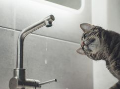 Харків'ян попередили про тривале відключення води: коли та де