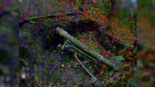 На Харківщині аеророзвідники ударили по позиціях армії РФ: знищено техніку та укриття