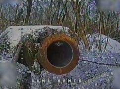 На Харківщині прикордонники спалили схованки та склади росіян: кадри з передової