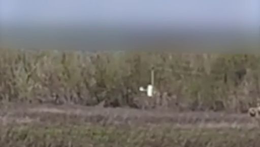 Пограничники показали, как "приземляют" дроны РФ в Харьковской области