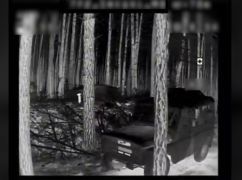 Пограничники ударили по позициям россиян в Харьковской области: видео боевой работы