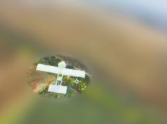 Пограничники уничтожили над Харьковщиной 26 дронов РФ: кадры ликвидации