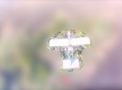 Бойцы ГПСУ показали, как уничтожили вражеские беспилотники на Харьковщине: кадры с места