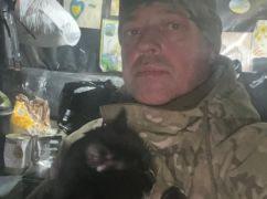 В Харьковской области кошка спасла боевого медика от обморожения