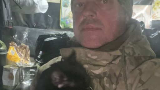 В Харьковской области кошка спасла боевого медика от обморожения