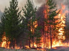 В Ізюмському районі досі горять шість лісових масивів