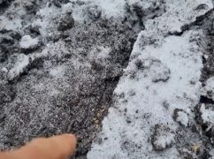 В Харьковской области ученые провели эксперимент, которого не делали более 100 лет